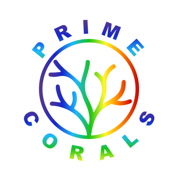 Prime Corals